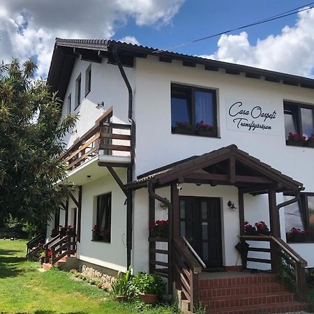 Casa Oaspeti Transfagarasan Lägenhet Cîrţişoara Exteriör bild