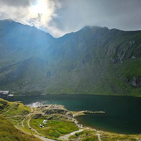 Casa Oaspeti Transfagarasan Lägenhet Cîrţişoara Exteriör bild