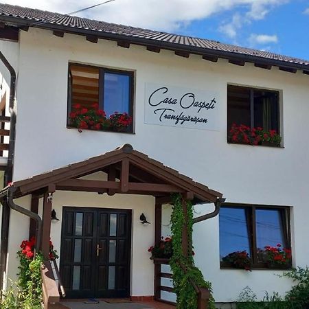Casa Oaspeti Transfagarasan Lägenhet Cîrţişoara Exteriör bild