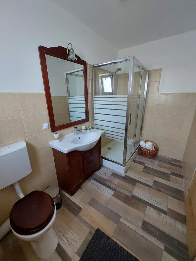 Casa Oaspeti Transfagarasan Lägenhet Cîrţişoara Exteriör bild