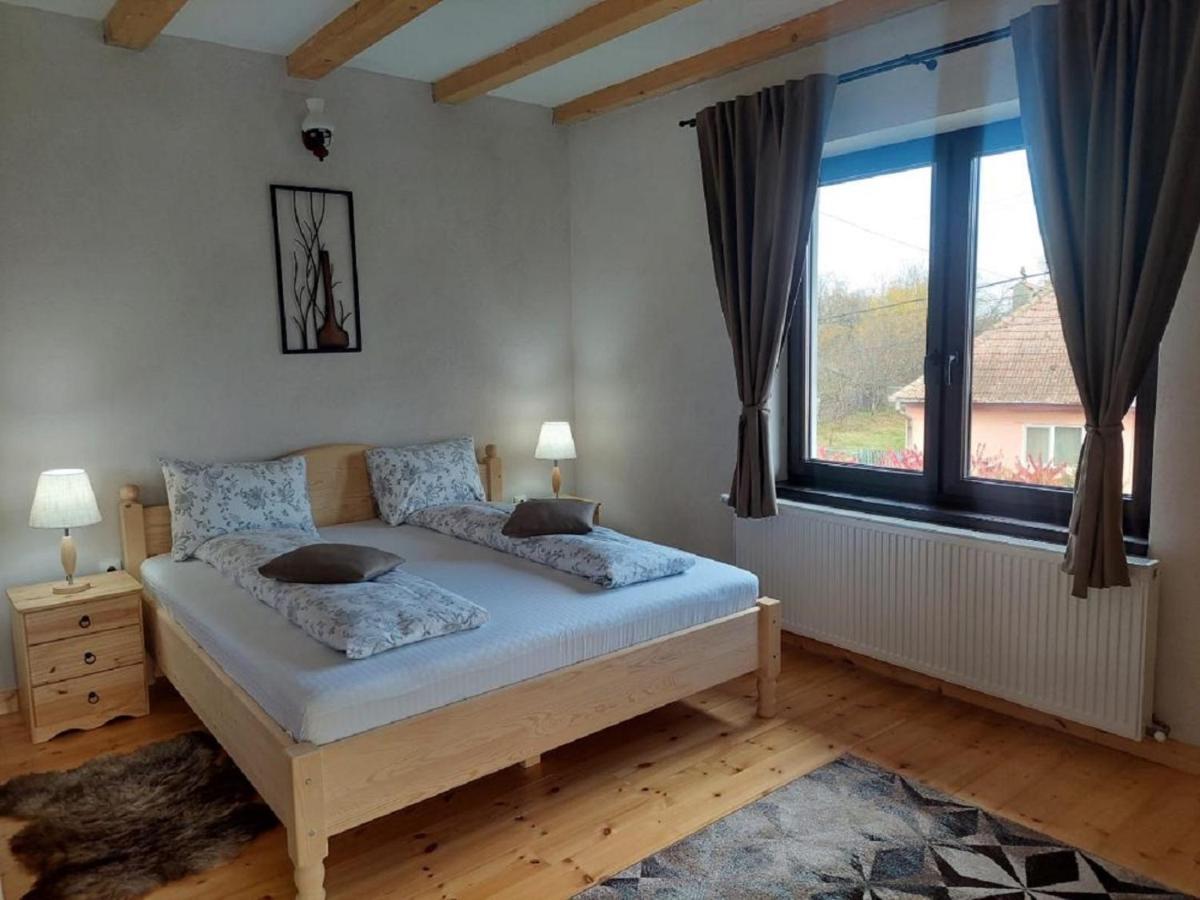 Casa Oaspeti Transfagarasan Lägenhet Cîrţişoara Exteriör bild