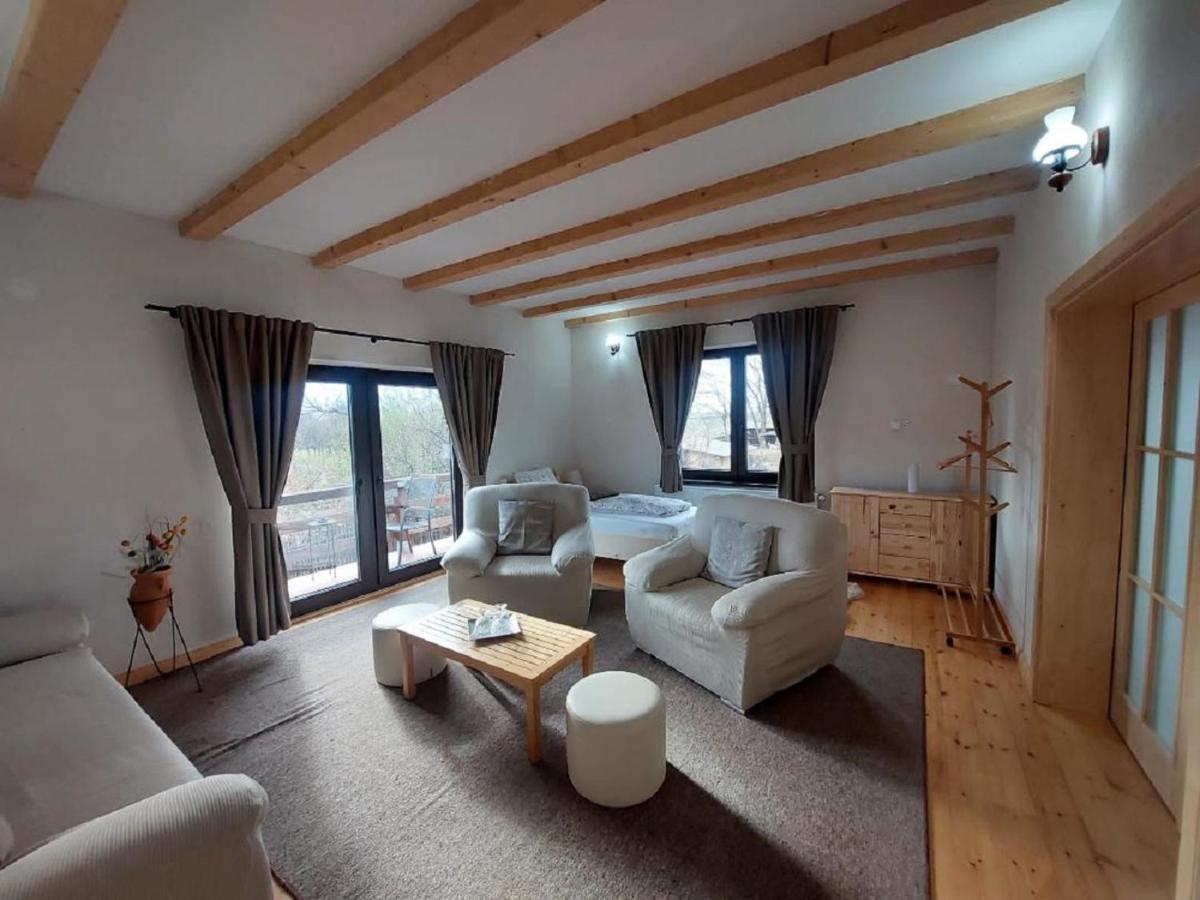 Casa Oaspeti Transfagarasan Lägenhet Cîrţişoara Exteriör bild