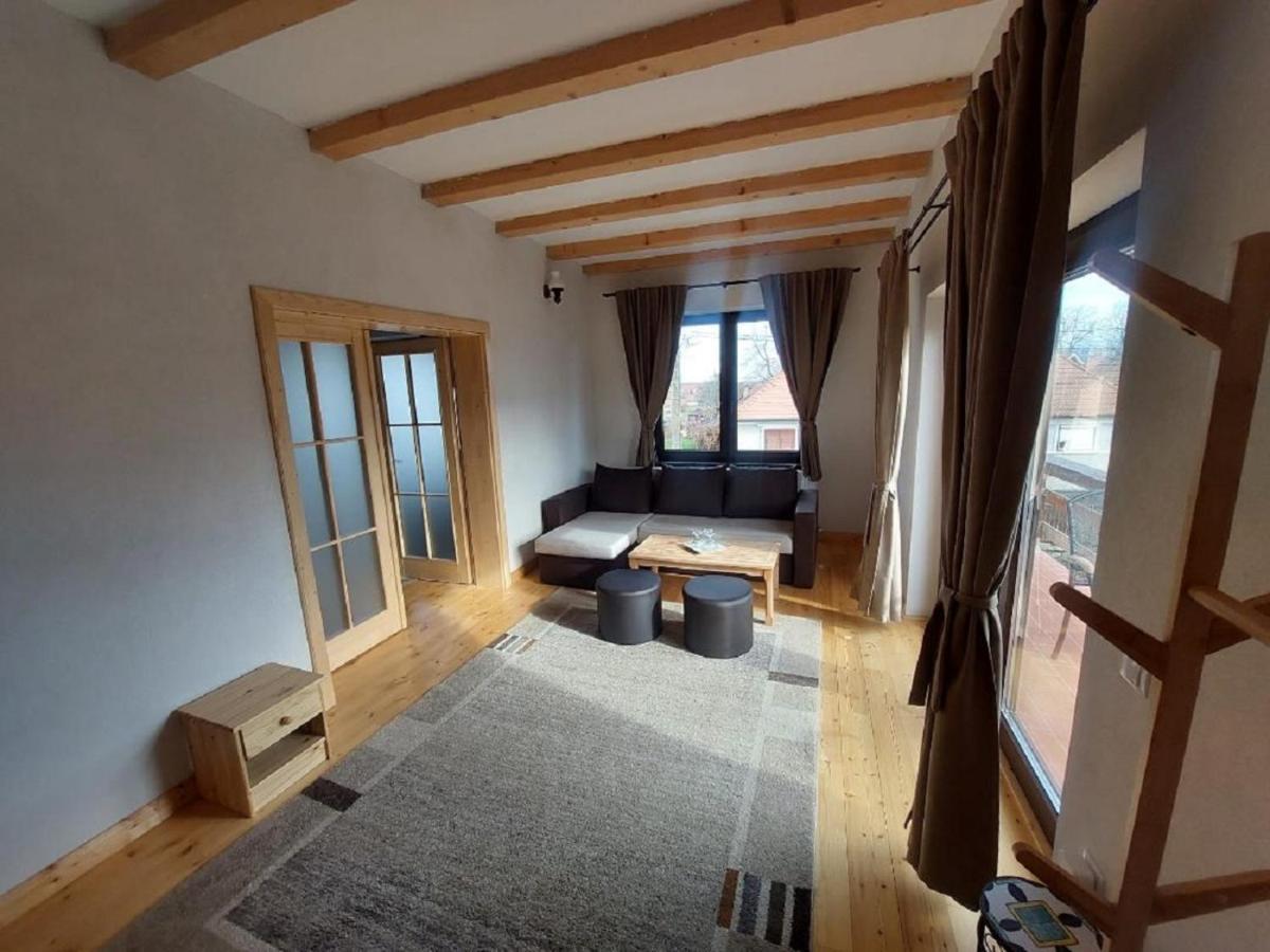 Casa Oaspeti Transfagarasan Lägenhet Cîrţişoara Exteriör bild