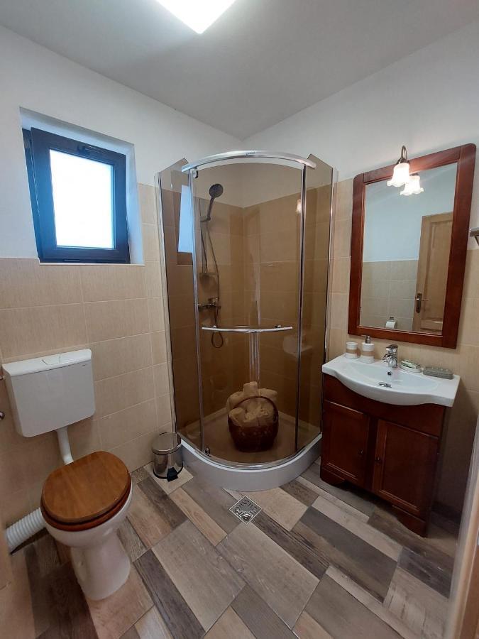 Casa Oaspeti Transfagarasan Lägenhet Cîrţişoara Exteriör bild