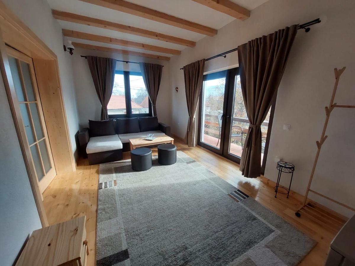 Casa Oaspeti Transfagarasan Lägenhet Cîrţişoara Exteriör bild