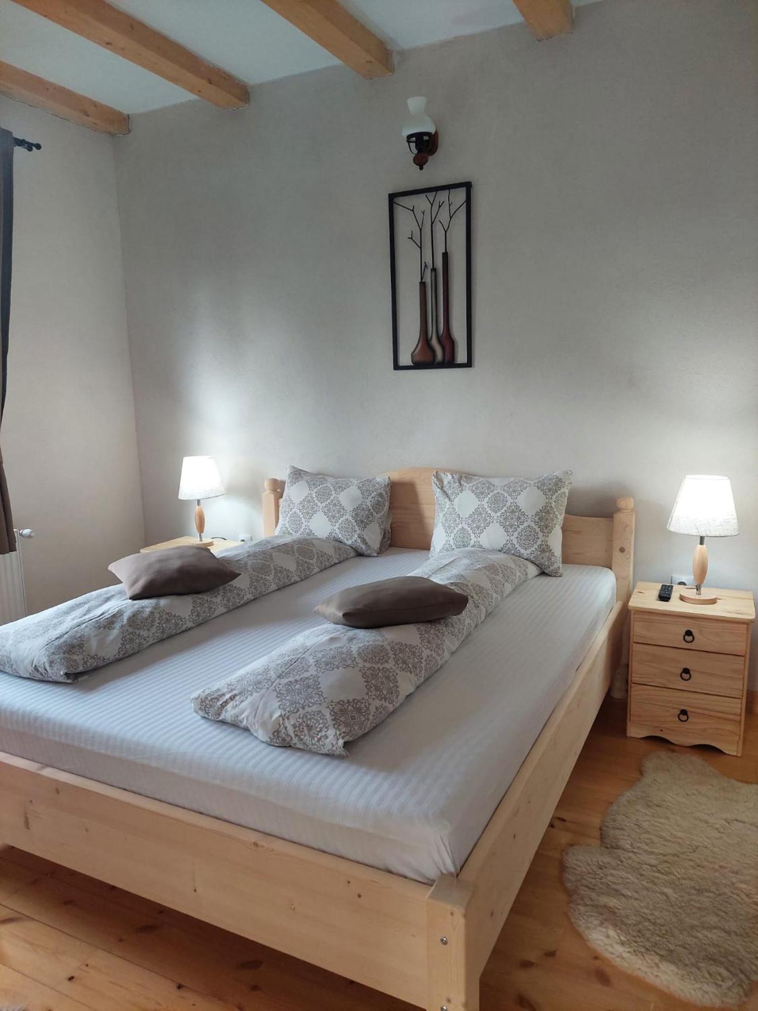 Casa Oaspeti Transfagarasan Lägenhet Cîrţişoara Exteriör bild