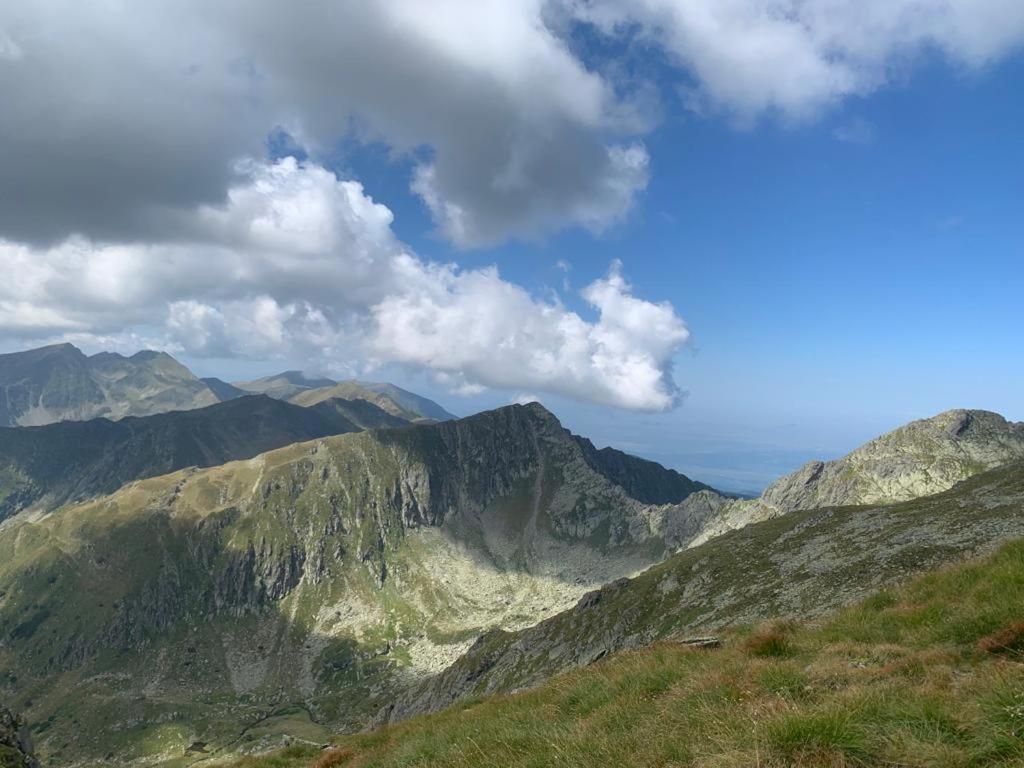 Casa Oaspeti Transfagarasan Lägenhet Cîrţişoara Exteriör bild