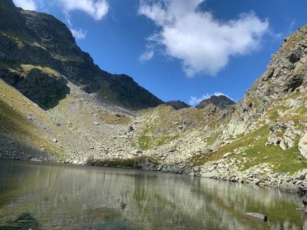 Casa Oaspeti Transfagarasan Lägenhet Cîrţişoara Exteriör bild