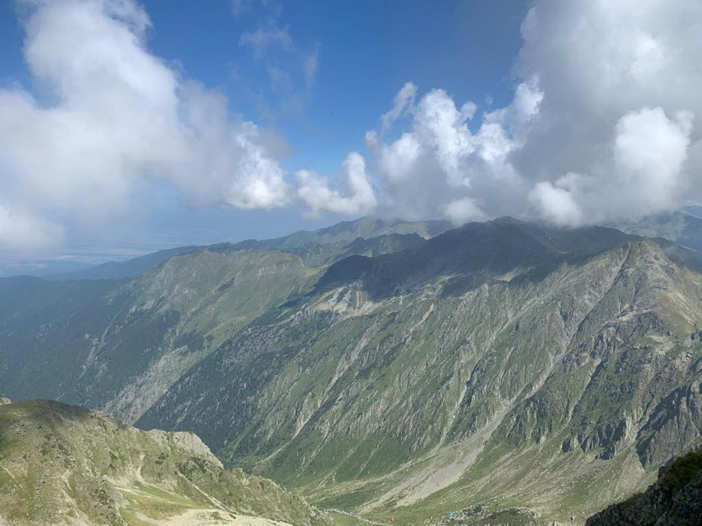 Casa Oaspeti Transfagarasan Lägenhet Cîrţişoara Exteriör bild
