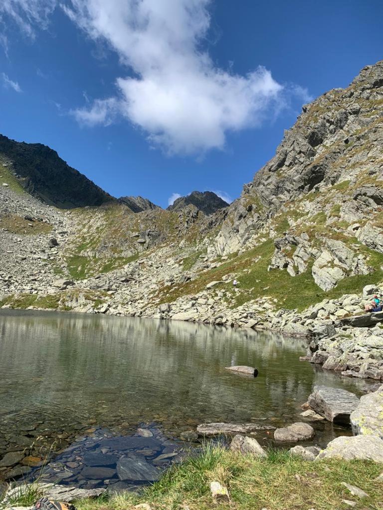 Casa Oaspeti Transfagarasan Lägenhet Cîrţişoara Exteriör bild