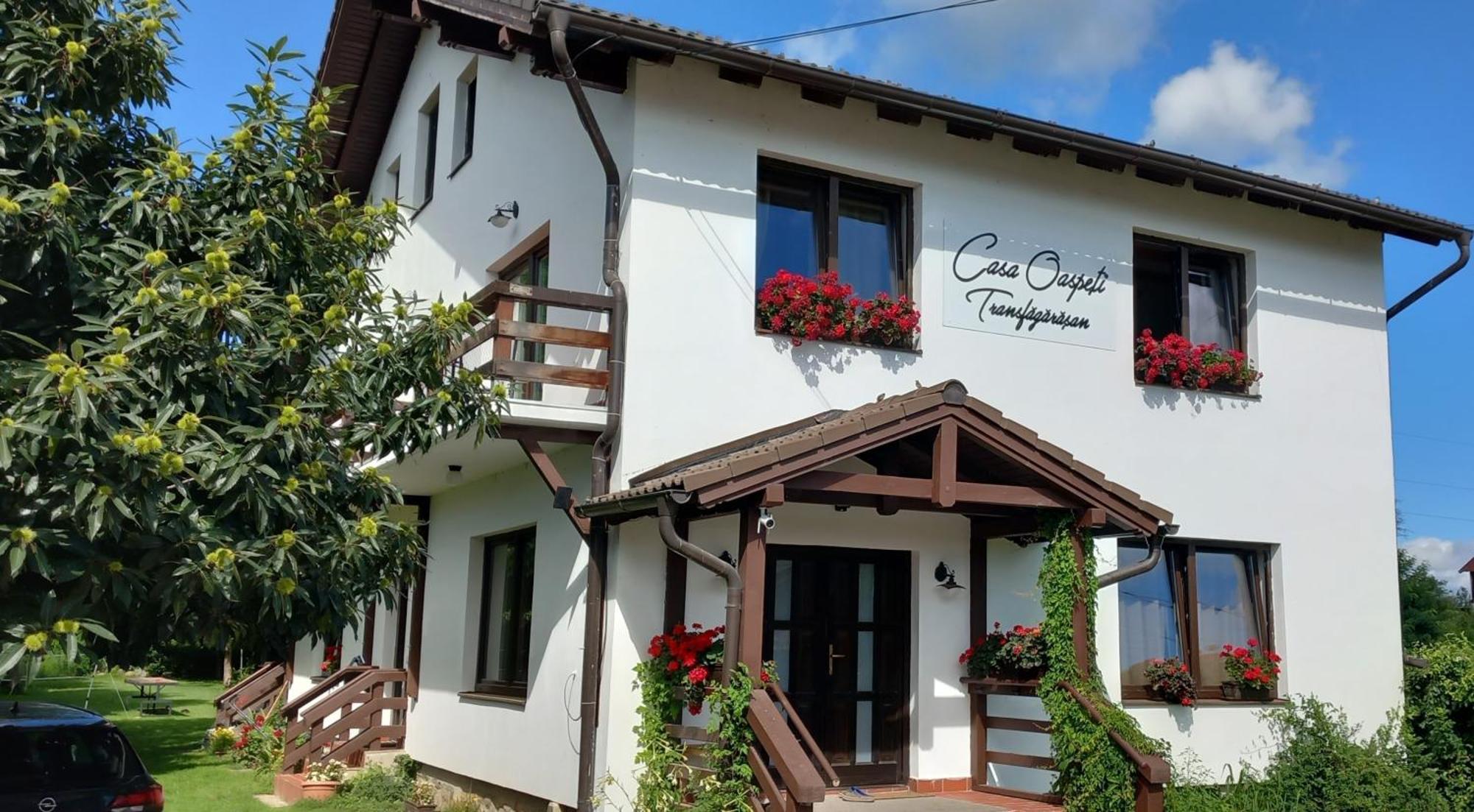 Casa Oaspeti Transfagarasan Lägenhet Cîrţişoara Exteriör bild