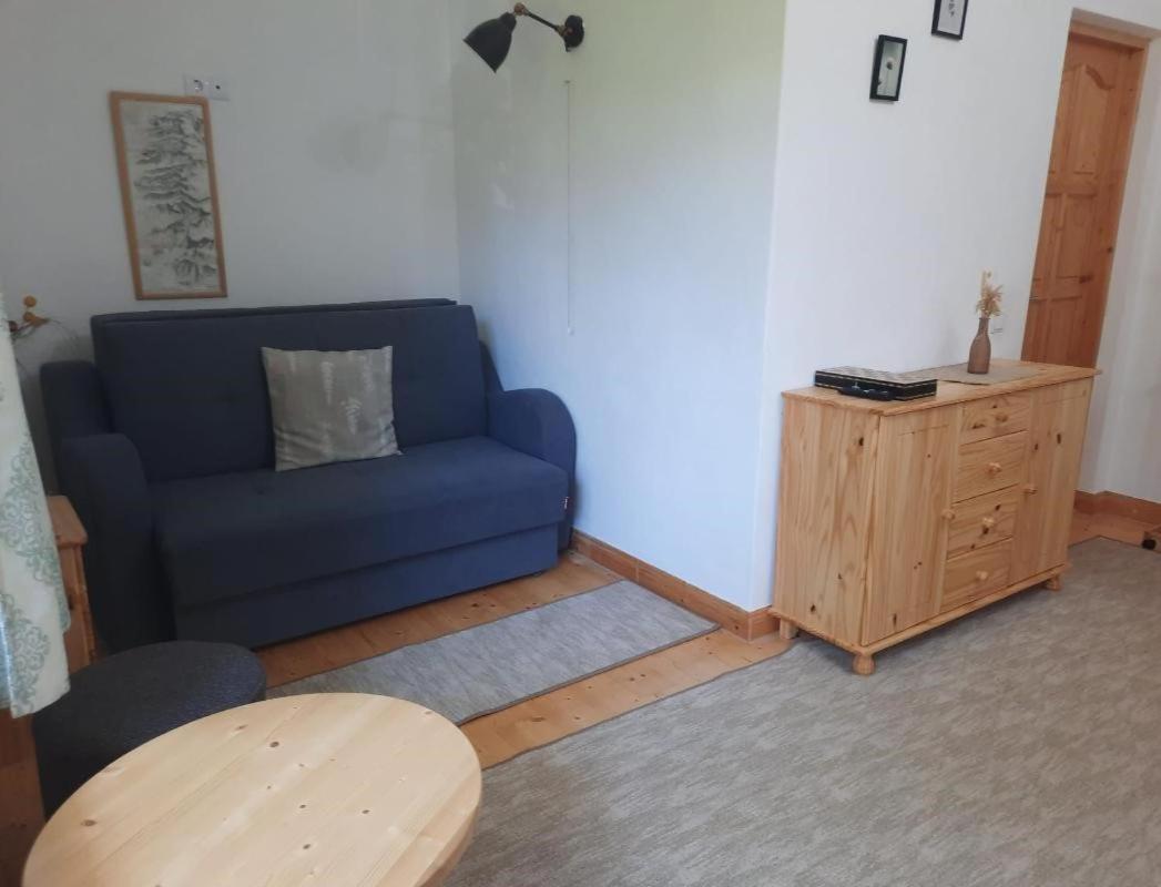 Casa Oaspeti Transfagarasan Lägenhet Cîrţişoara Exteriör bild