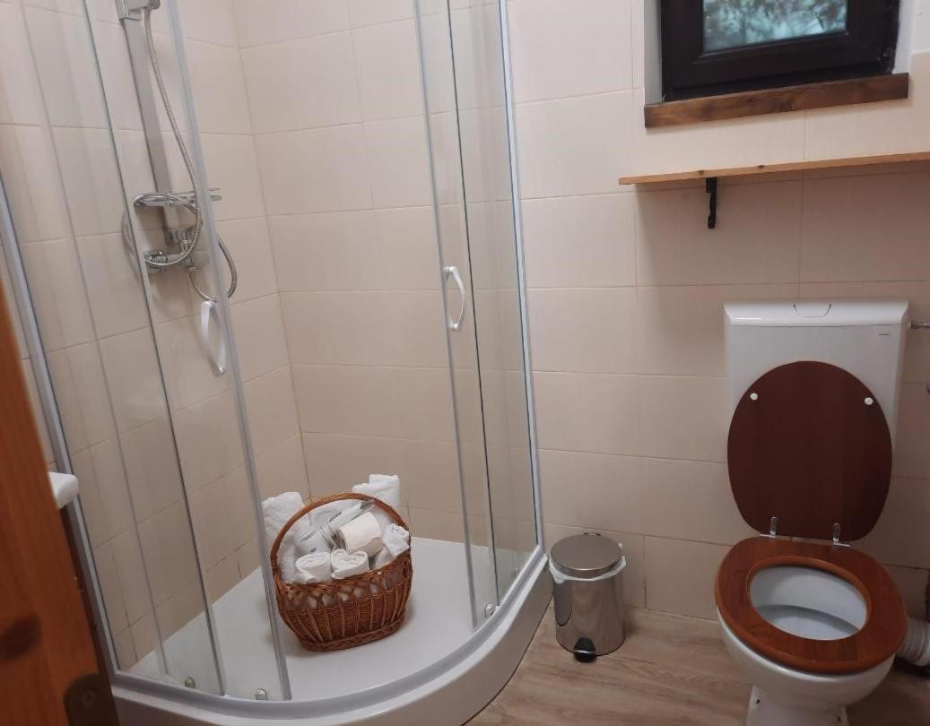 Casa Oaspeti Transfagarasan Lägenhet Cîrţişoara Exteriör bild