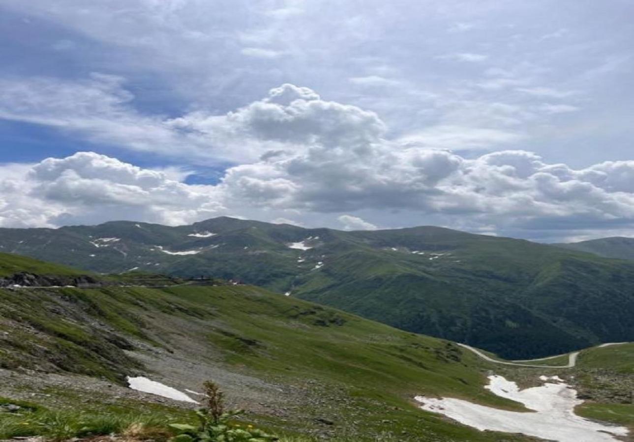 Casa Oaspeti Transfagarasan Lägenhet Cîrţişoara Exteriör bild