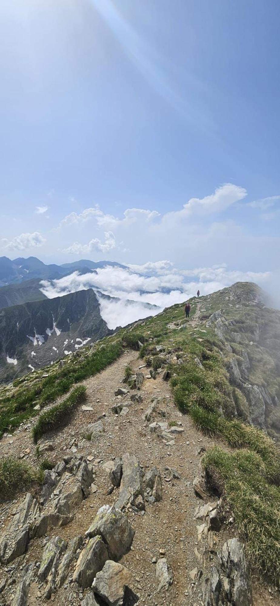 Casa Oaspeti Transfagarasan Lägenhet Cîrţişoara Exteriör bild
